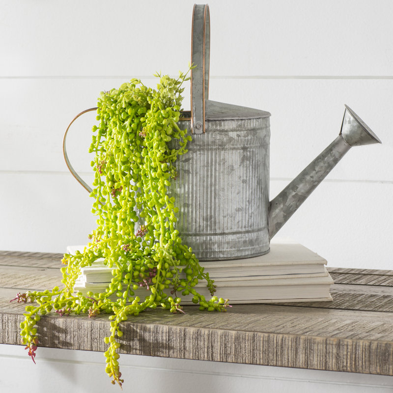 Laurel Foundry Modern Farmhouse Artificial String of Pearls Foliage